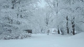 IMG_20230120_114325_131