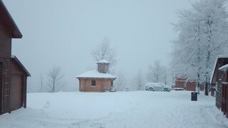 IMG_20230120_114334_310