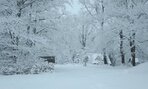 IMG_20230120_114325_131